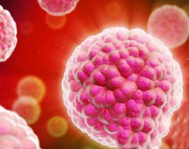 Vazopressin hormonu azaldıqda sidik mayesi artar və qandakı su miqdarı normal səviyyəyə düşər.